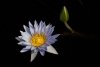 Water_Water-4149
