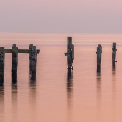 Dorset-25023