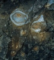 Portrush-4424 Portrush-4424