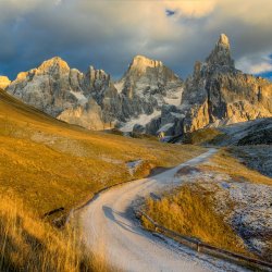PalediSanMartino-220685