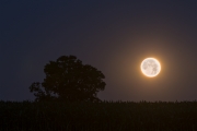 Moon-7273_Edit_1065.jpg