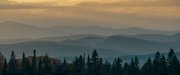 20231001_EFBacon_Vermont_44733