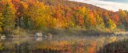 20231003_EFBacon_Vermont_03488