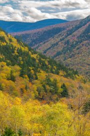 20231009_EFBacon_New Hampshire_04191