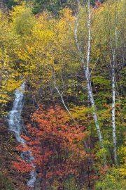 New Hampshire-44892