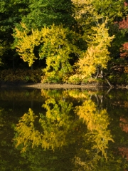 NewEngland-075573
