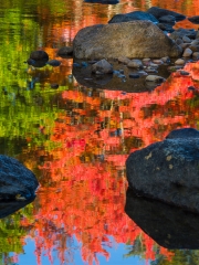 NewEngland-075585