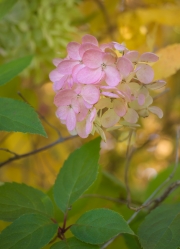 NewEngland-075637