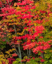 NewEngland-085885