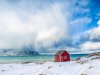 Lofoten-3221667_Edit_3037