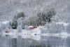 Norway-5145