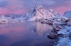 Reine-2167126