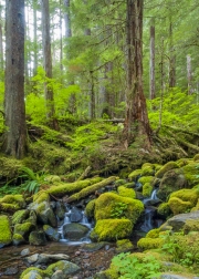 SolDuc_7175460
