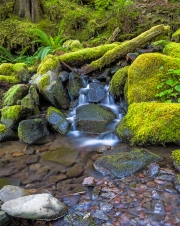 SolDuc_7175466