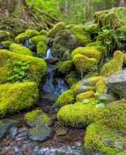 SolDuc_7175467