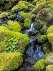SolDuc_7175468