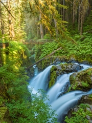 SolDuc_7175484