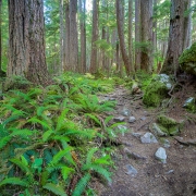 SolDuc_7175564