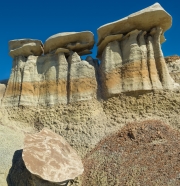 Bisti-9243864