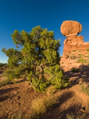 BalancedRock-9192028