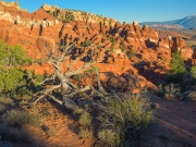 FieryFurnace-9202272