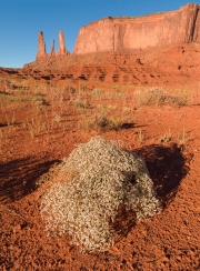 MonumentValley-9175722