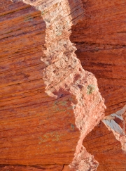 HorseshoeBend-9141620