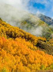 Silverton-9233153