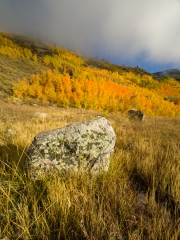 Silverton-9233181