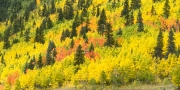 Silverton-9233357