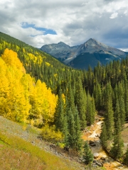 Silverton-9233522
