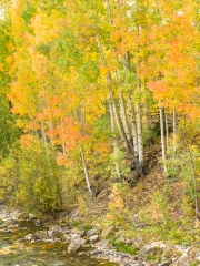 Telluride-9212747_DxO_Edit_4027
