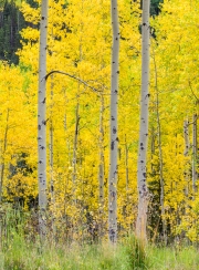 Telluride-9222933