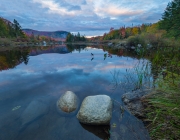 NewEngland-044925