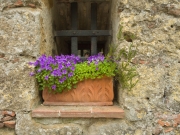 Tuscany-5189614