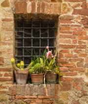Tuscany-5189740