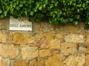 Tuscany-5200276