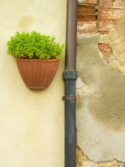 Tuscany-5200281
