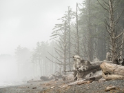 OlympicNP-7206267