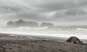 OlympicNP-7206292