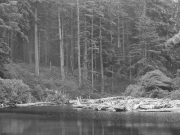 RubyBeach-7185923_Edit_104