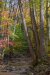 BeaverRun-3500_Edit_1619