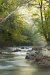Brandywine