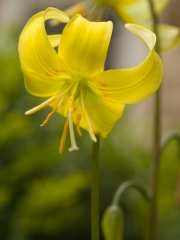 Spring-281408.jpg