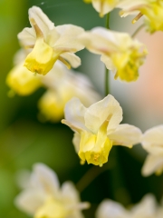 Spring-281562.jpg