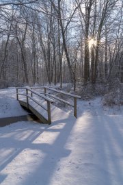 Winter's quiet embrace at Peeper Pond